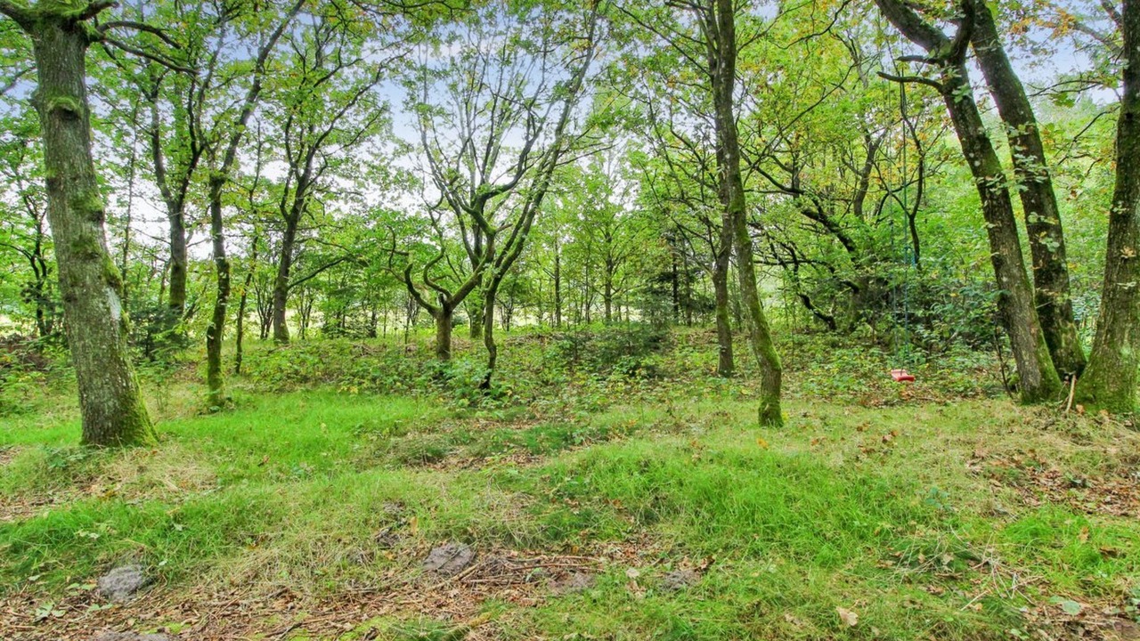 Photo of Outdoor in Skygge