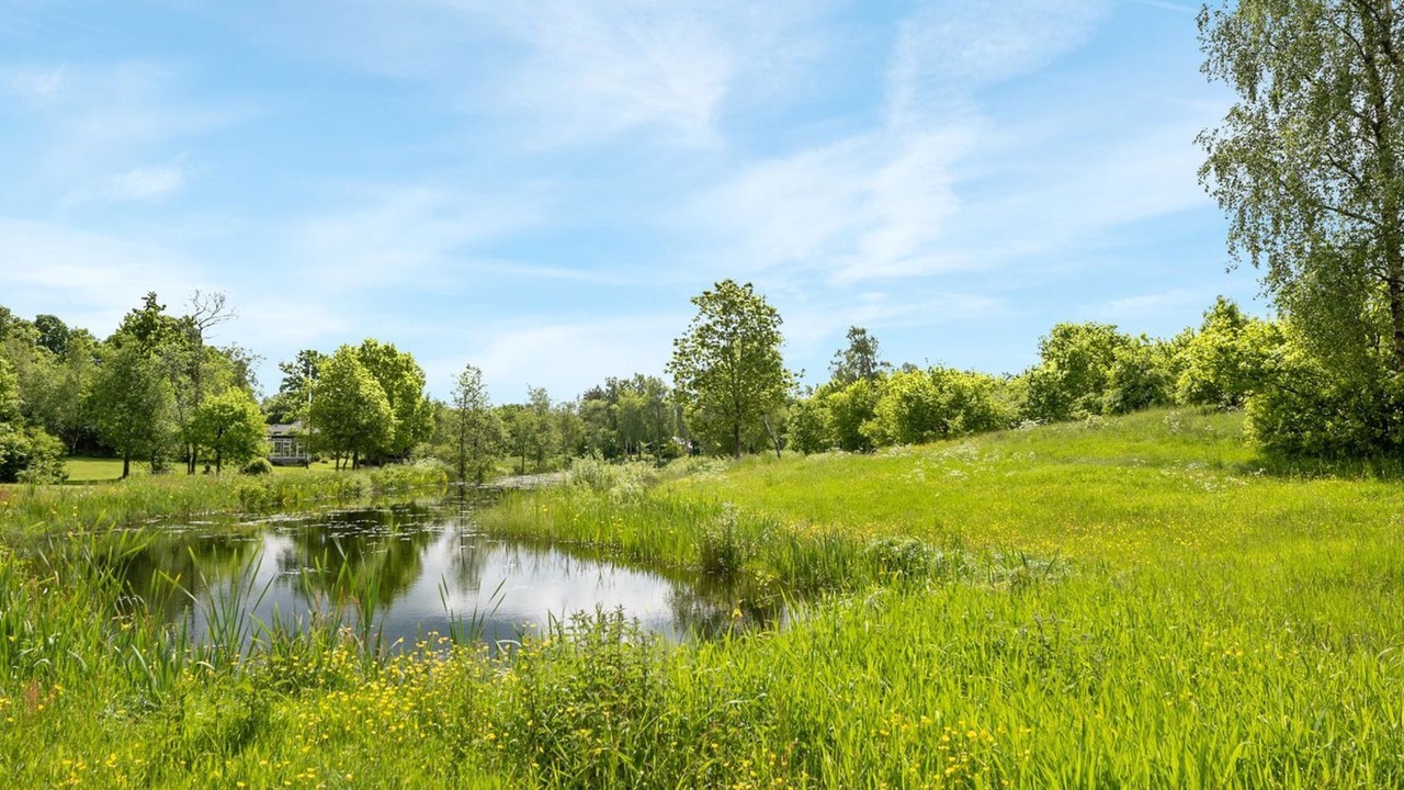 Photo of Outdoor in Skygge