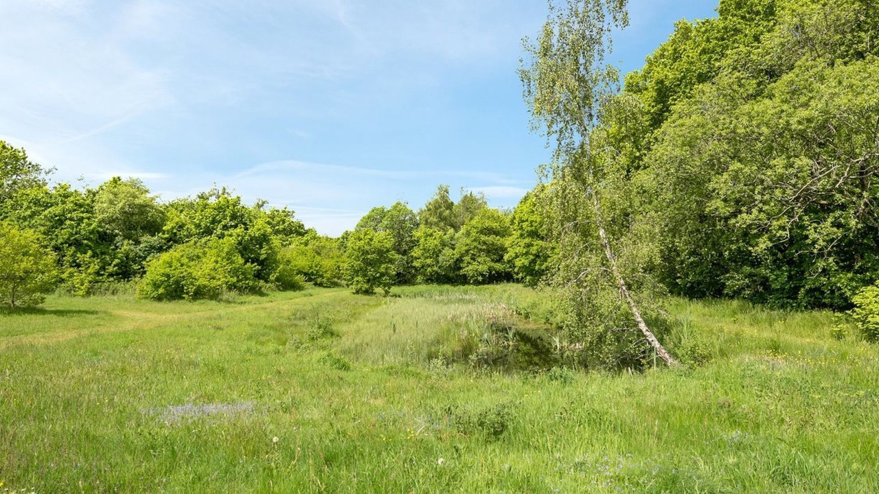 Photo of Outdoor in Skygge