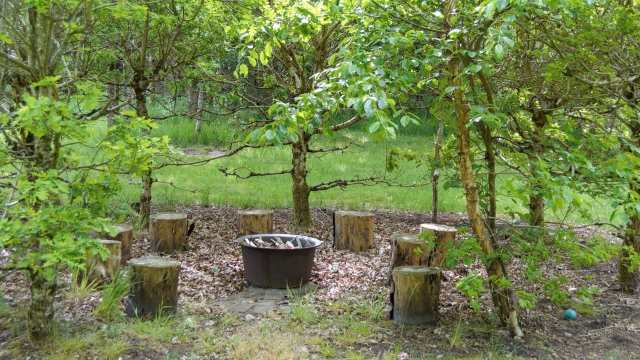 Photo of Outdoor in Skygge