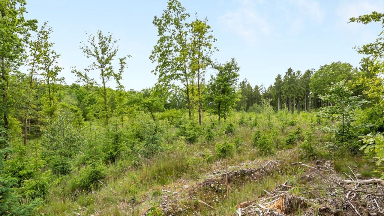 Photo of Outdoor in Skygge