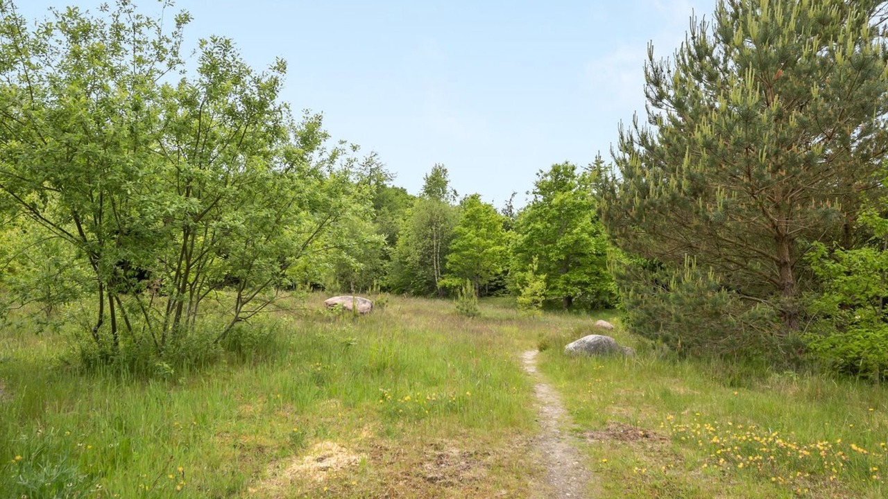 Photo of Outdoor in Skygge