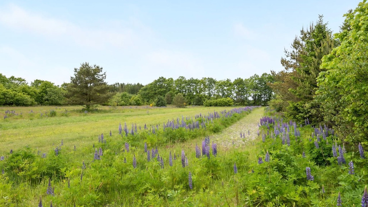 Photo of Outdoor in Skygge