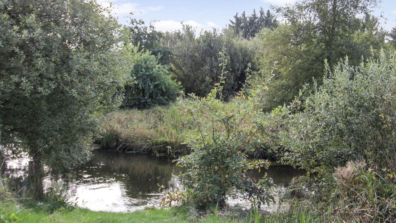 Photo of Outdoor in Janderup