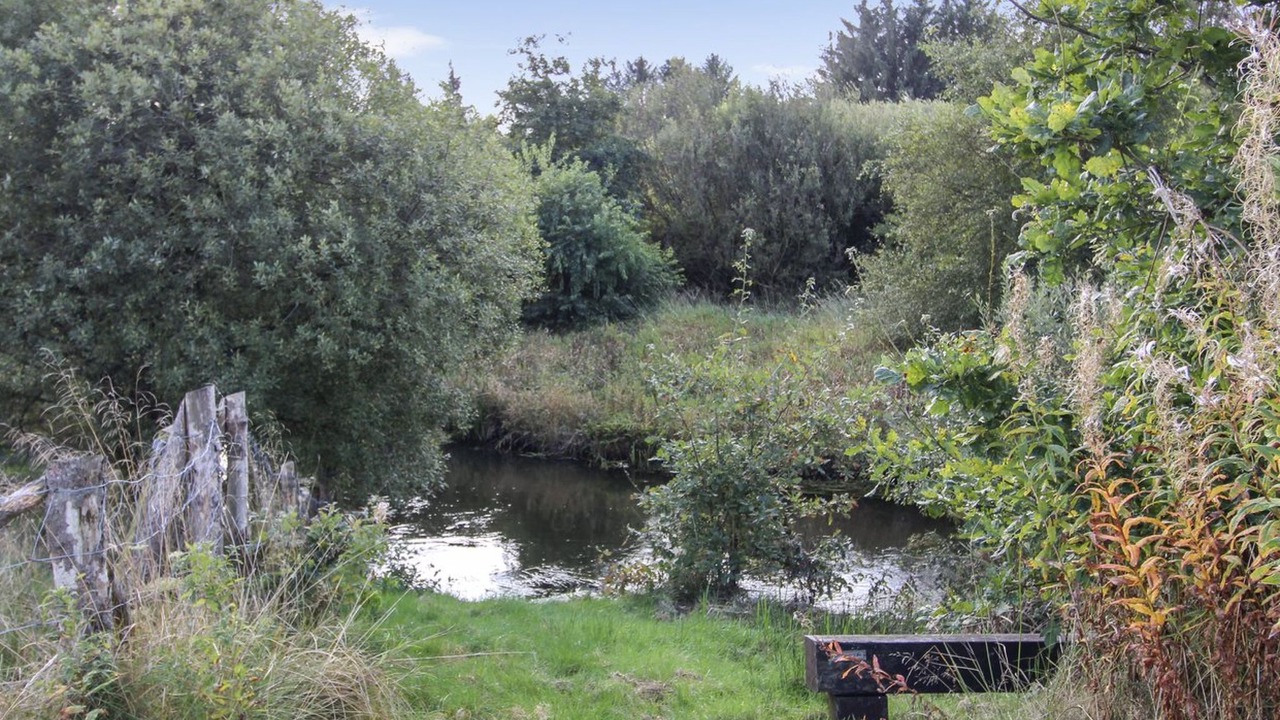Photo of Outdoor in Janderup