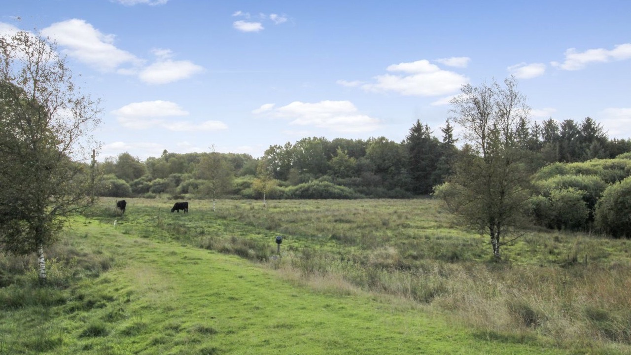 Photo of Outdoor in Janderup