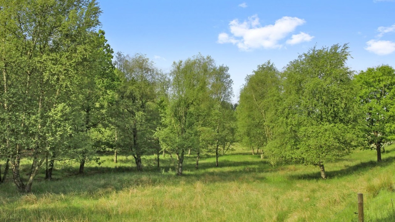 Photo of Outdoor in Janderup
