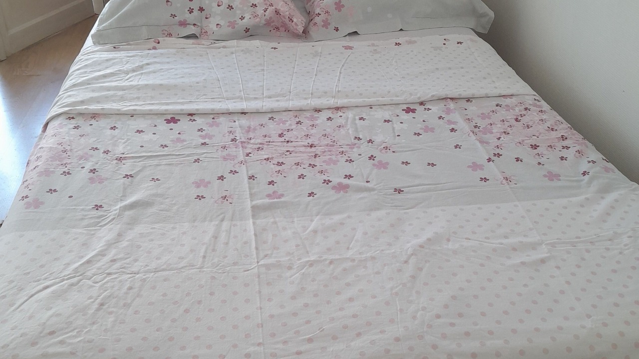 Photo of Bedroom in Les Platanes