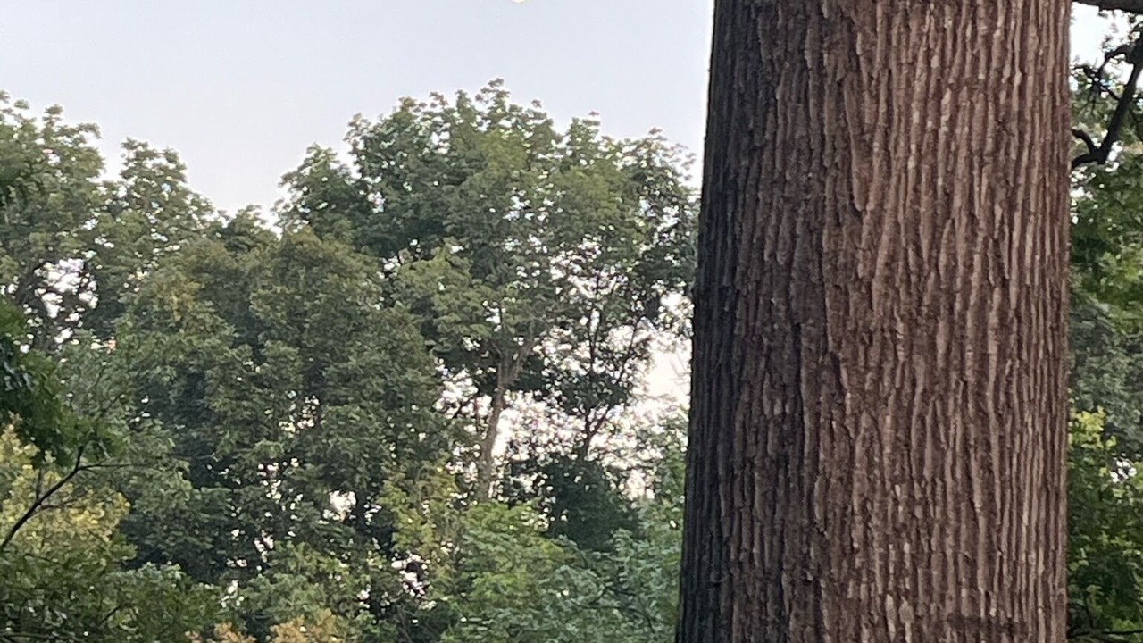 Photo of Outdoor in Pangburn