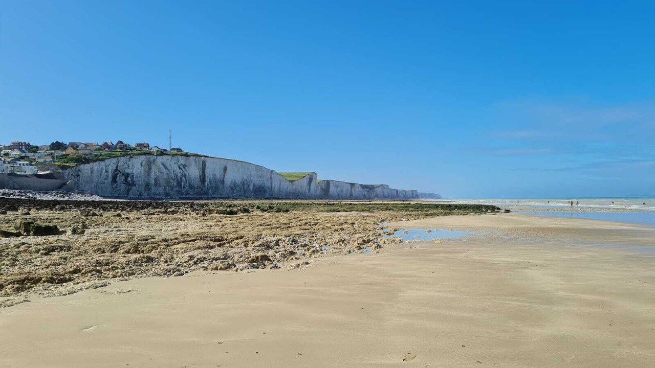 Photo of Others in Ault