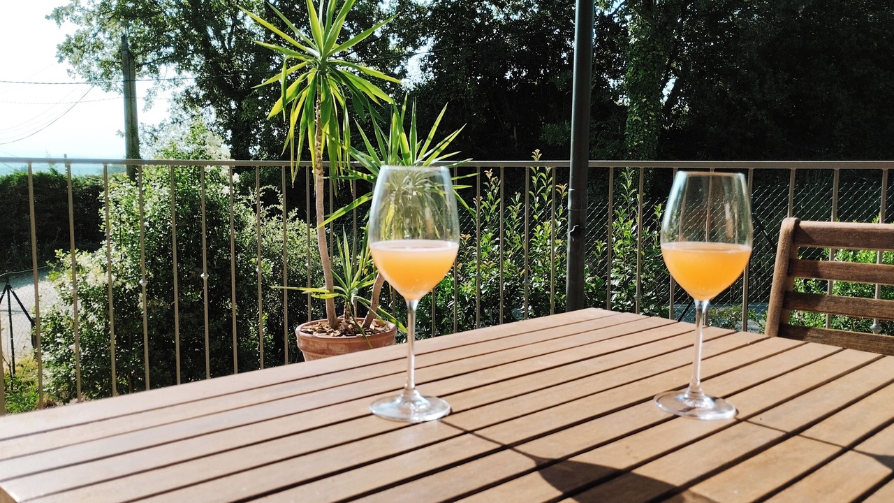 Photo of Outdoor in Saint-Julien-de-Peyrolas