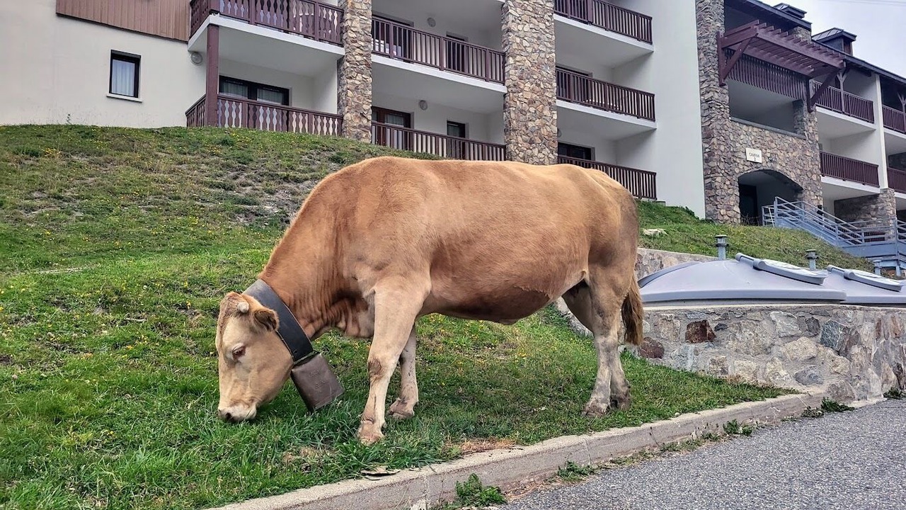 Photo of Outdoor in La Mongie