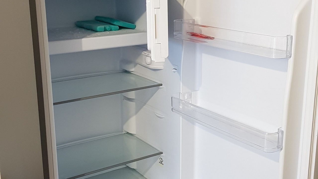 Photo of Others in Hardelot-Plage