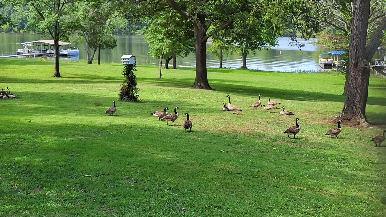 Photo of Others in Gilbertsville