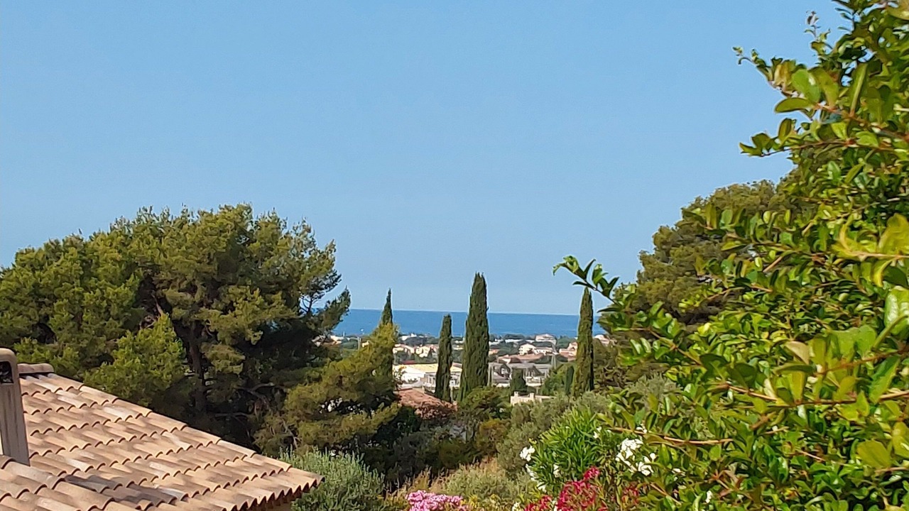 Photo of Others in Ollioules