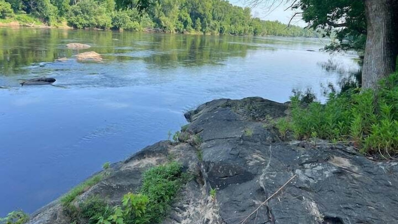 Photo of Others in Bremo Bluff