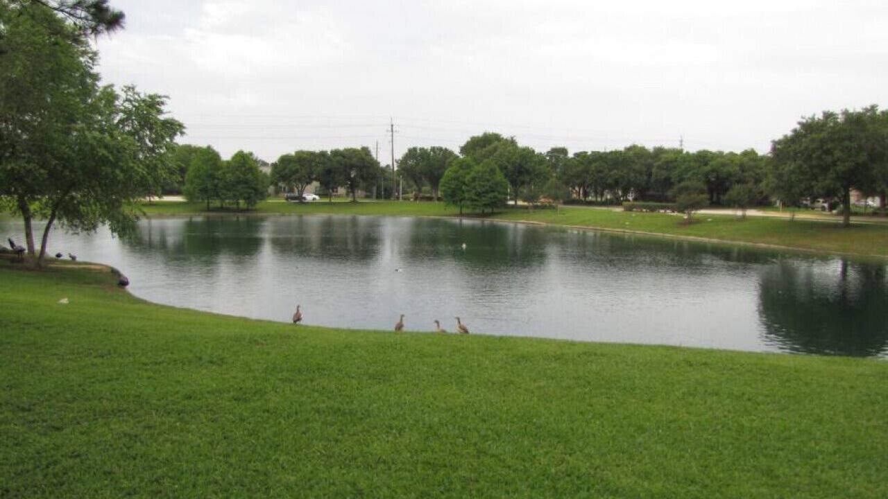 Photo of Others in Klein