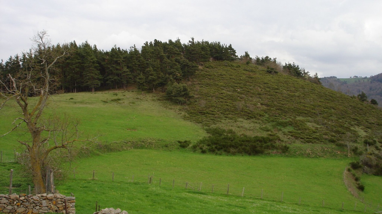 Photo of Others in Chazelles