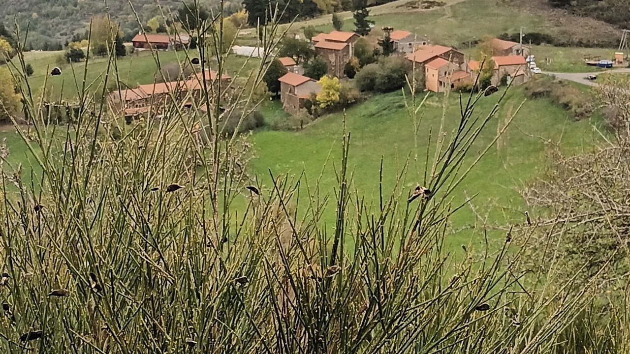 Photo of Others in Chazelles
