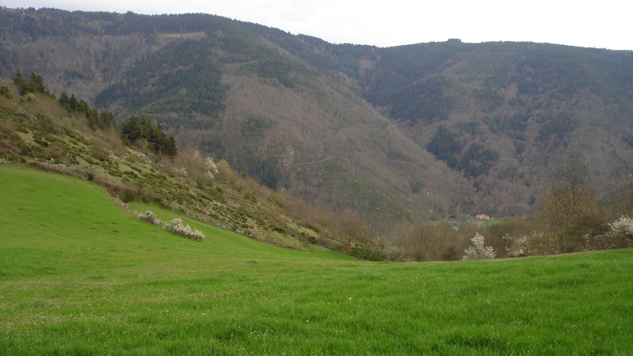 Photo of Others in Chazelles