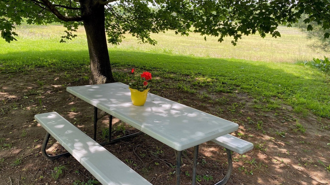 Photo of Outdoor in Beavercreek