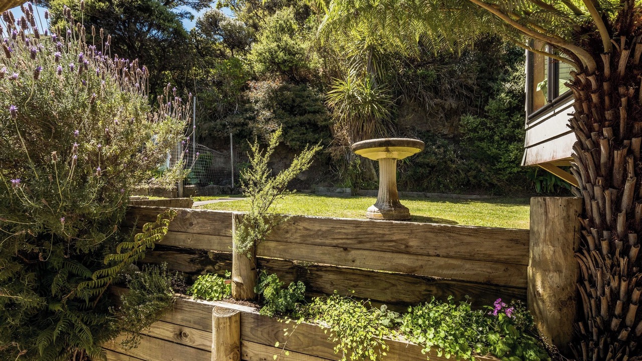 Photo of Outdoor in Piha