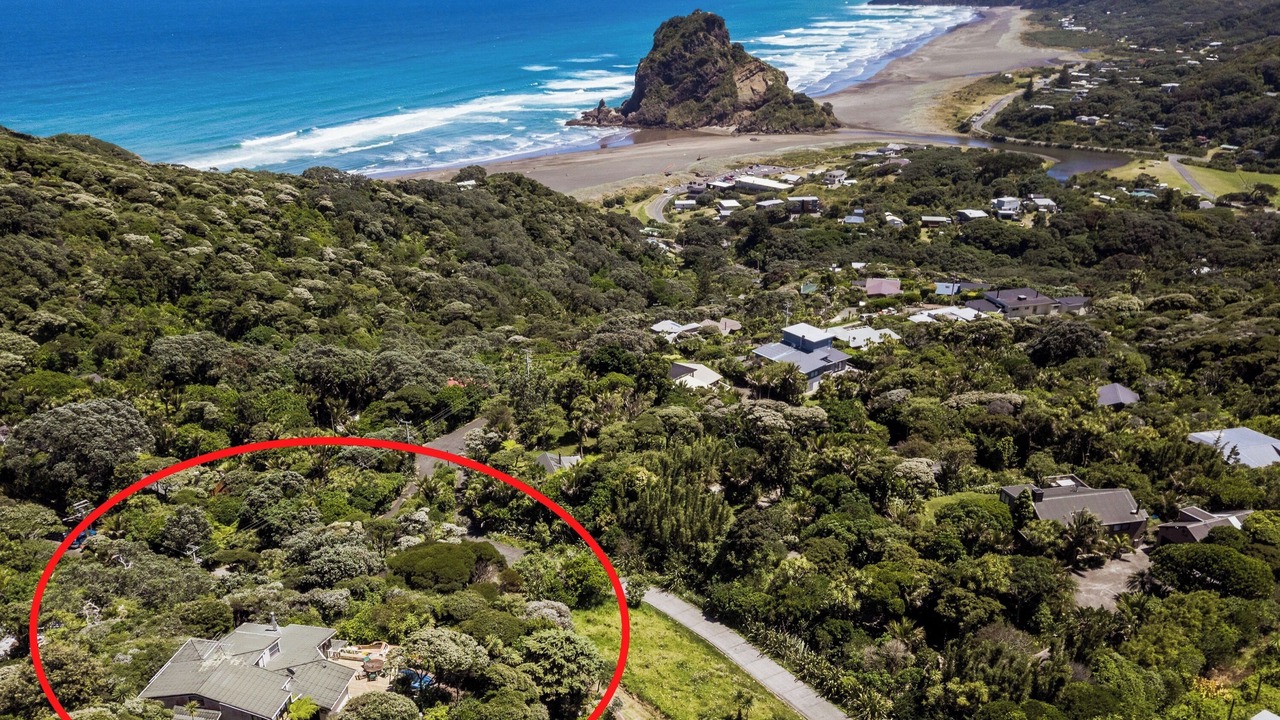 Photo of Outdoor in Piha