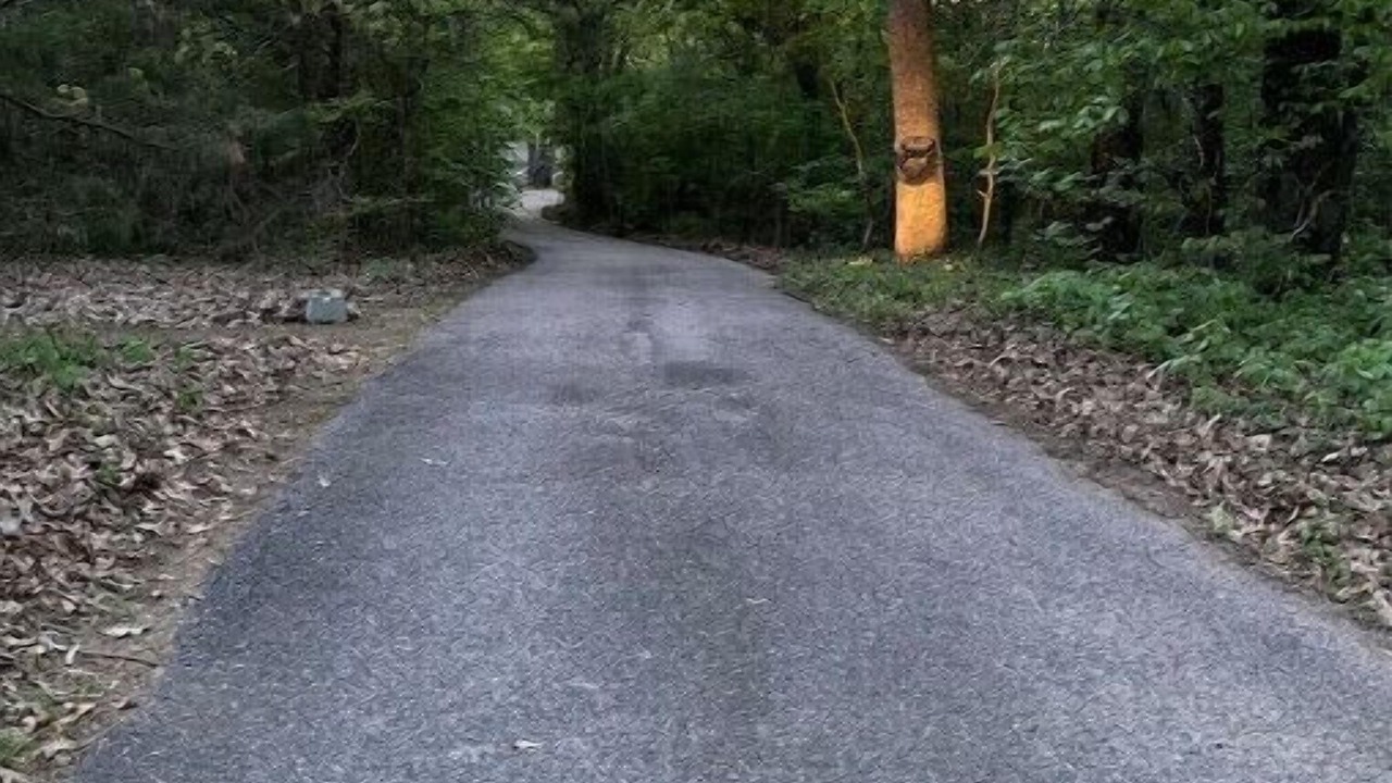 Photo of Outdoor in Durant