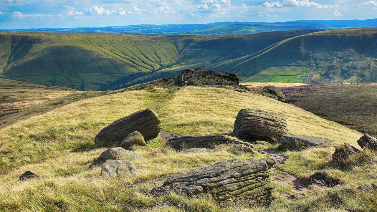 Photo of Others in Litton