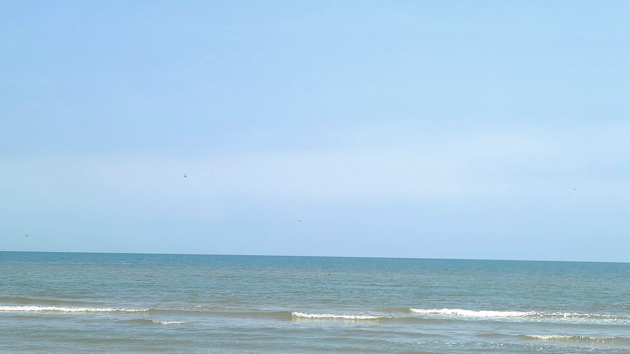 Photo of Others in Pointe San Luis