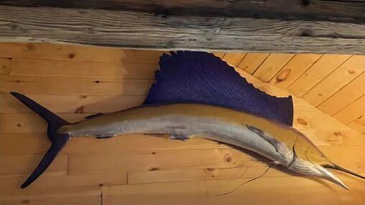 Photo of Bedroom in Sauble Beach