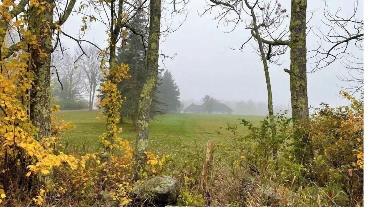 Photo of Outdoor in Acton