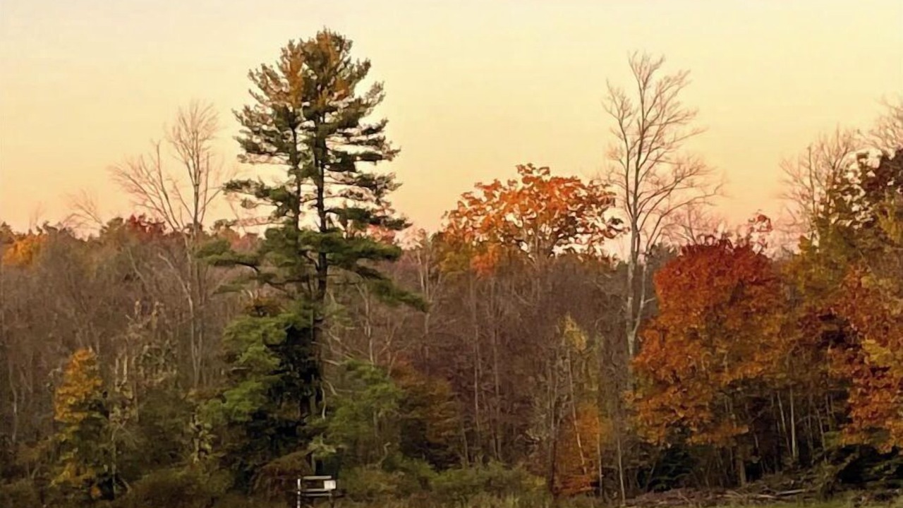 Photo of Others in Acton