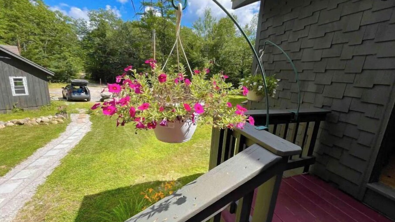 Photo of Outdoor in Acton