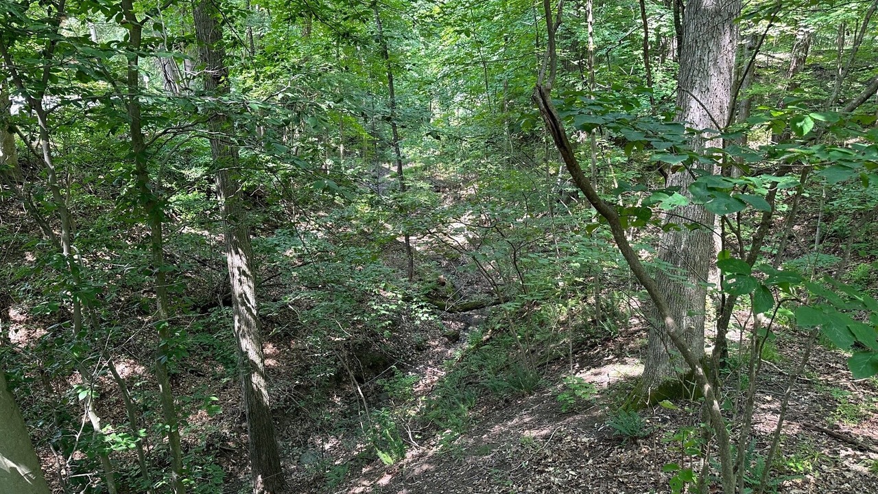 Photo of Others in Cuyahoga Falls