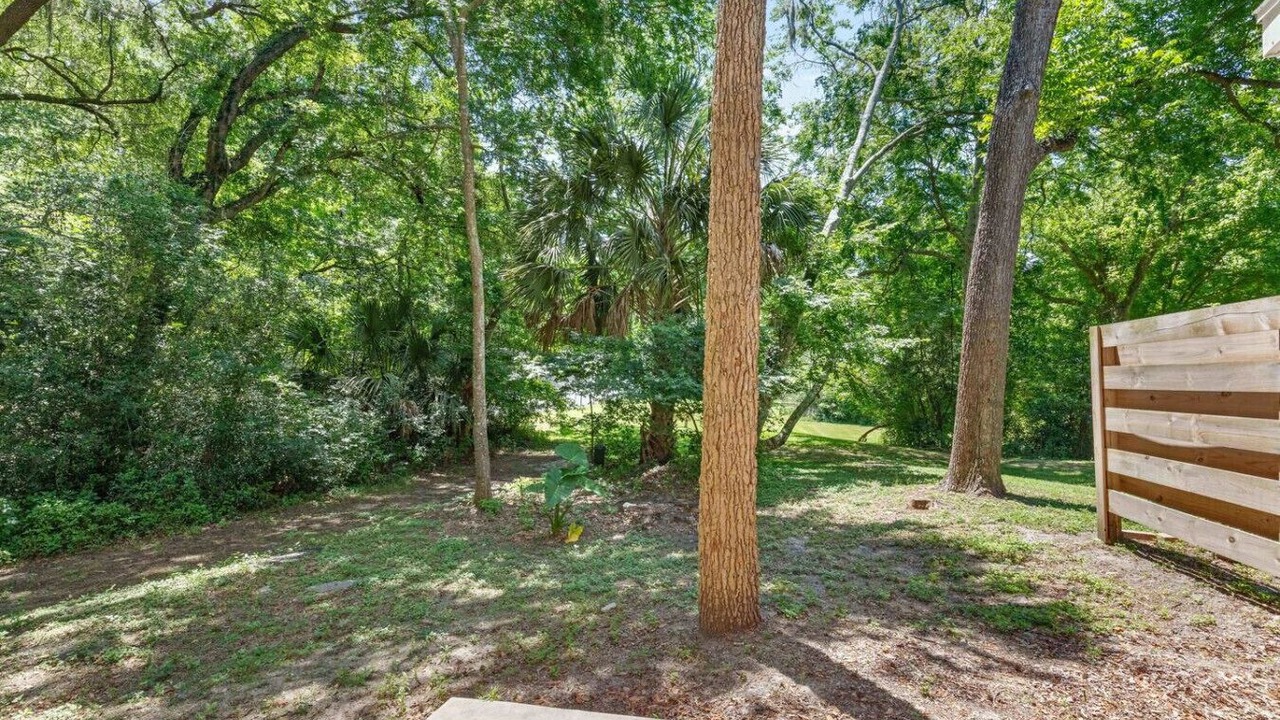Photo of Outdoor in Gainesville