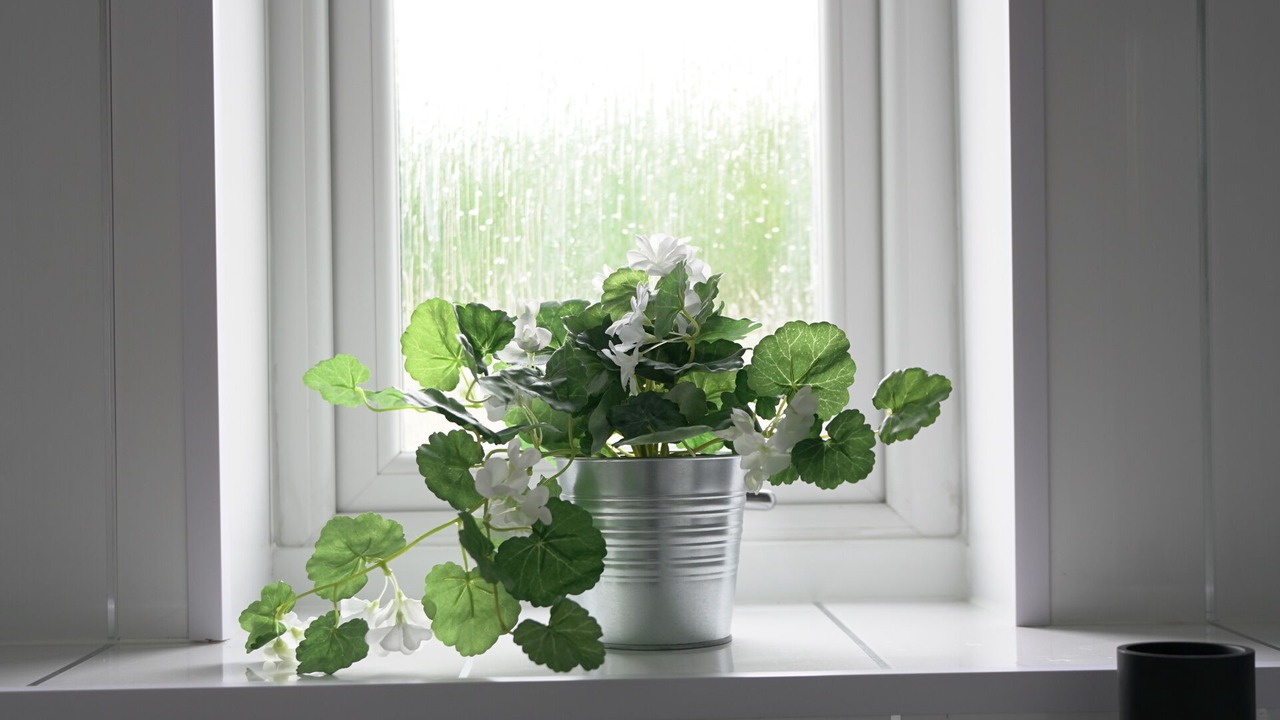 Photo of Bathroom in Hogganfield