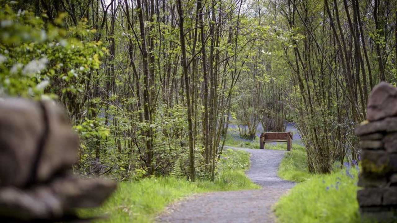 Photo of Others in Hogganfield