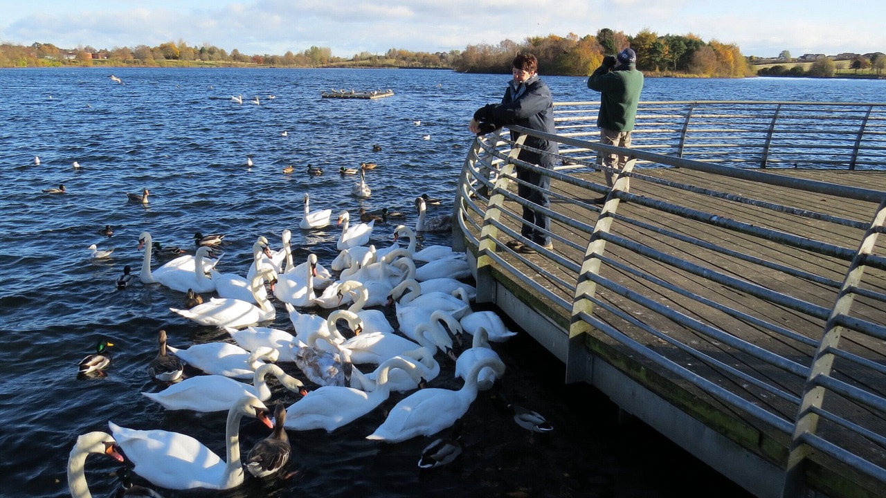 Photo of Others in Hogganfield