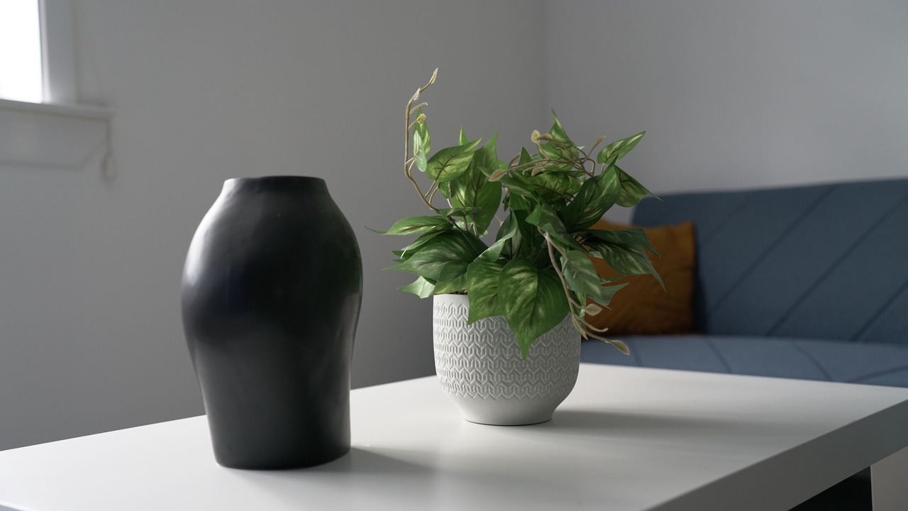 Photo of Others in Hogganfield