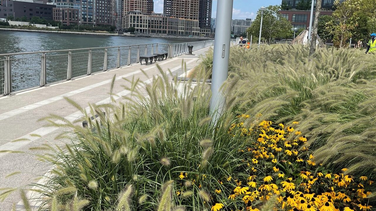 Photo of Outdoor in Greenpoint