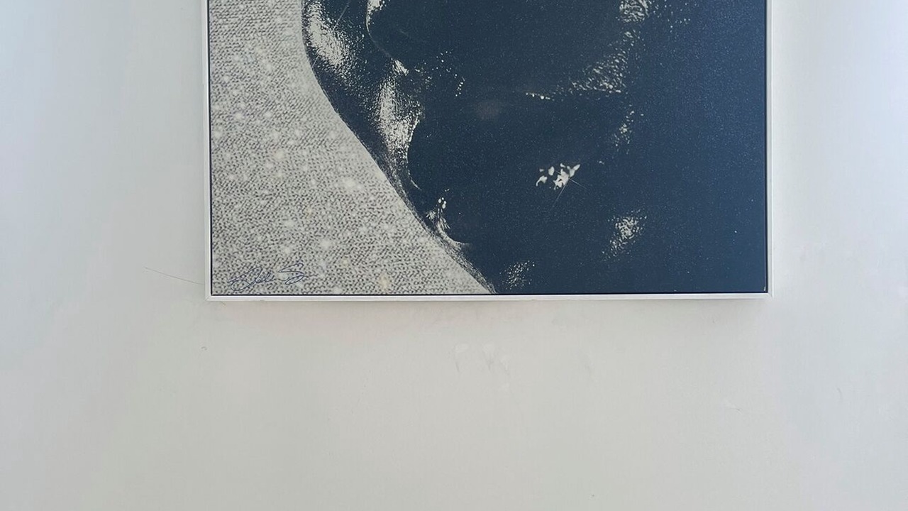 Photo of Others in Greenpoint