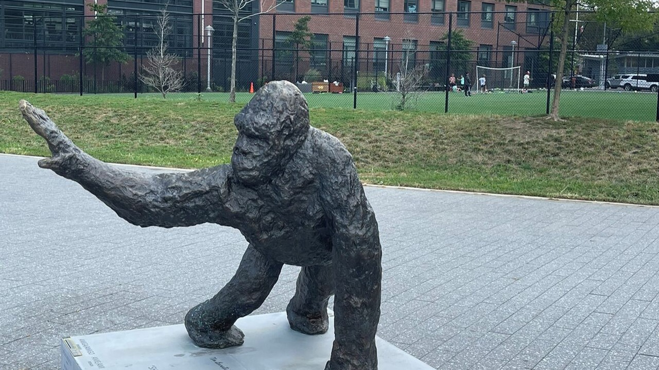 Photo of Outdoor in Greenpoint