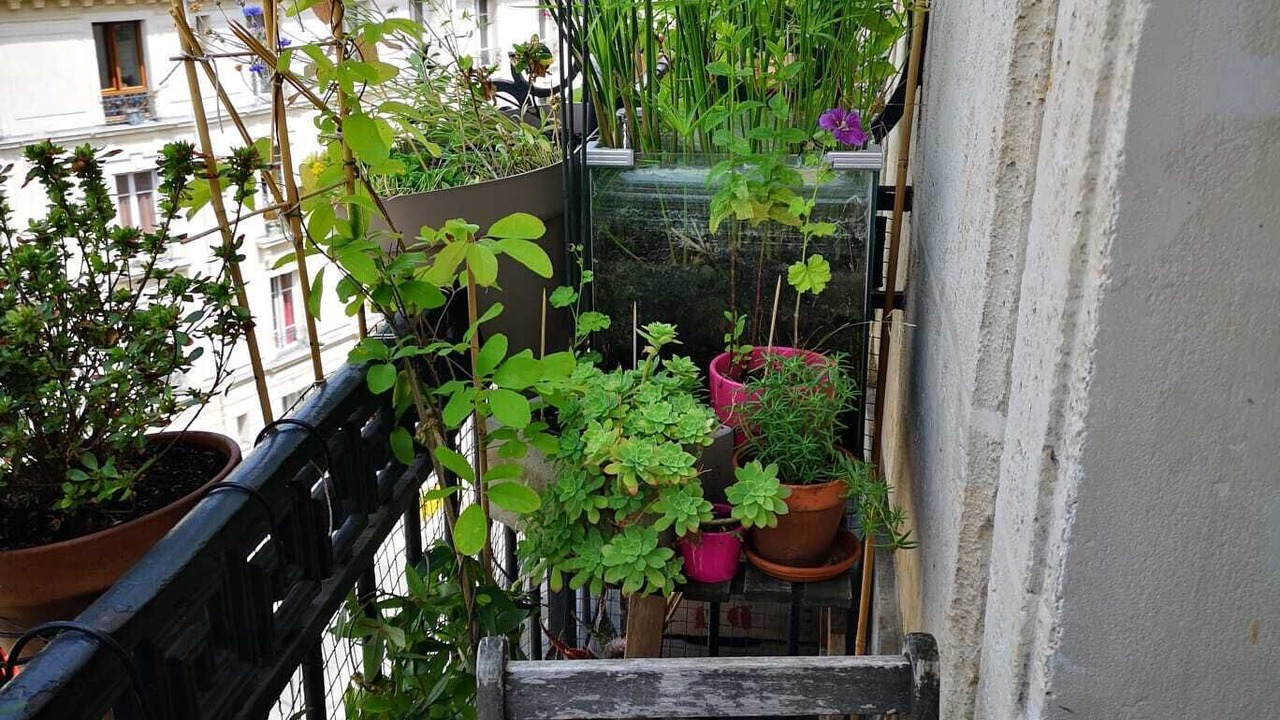 Photo of Outdoor in Quartier de la Goutte-d'Or