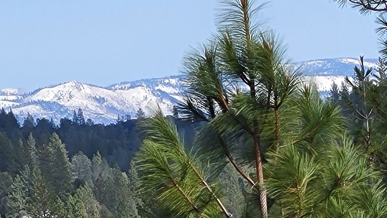 Photo of Others in Groveland