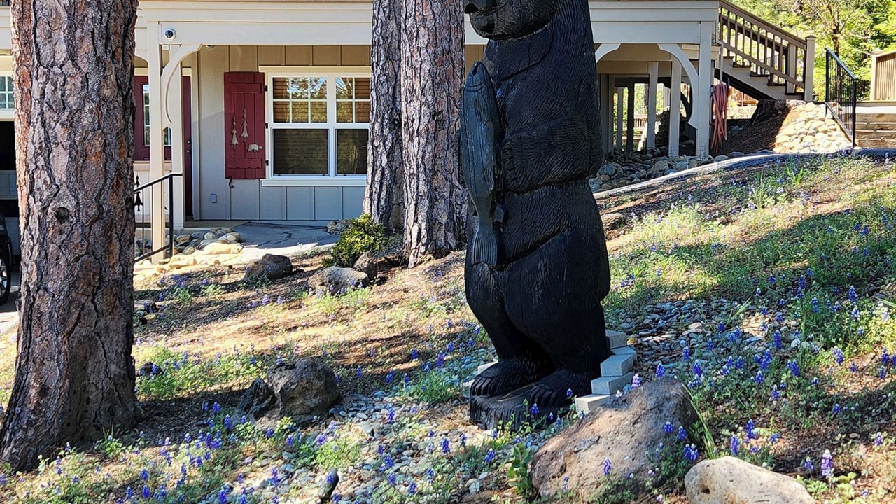 Photo of Outdoor in Groveland