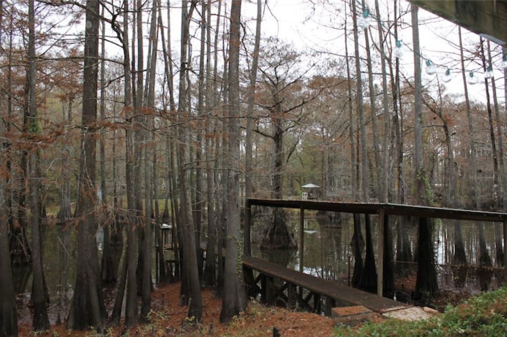 Photo of Outdoor in Karnack