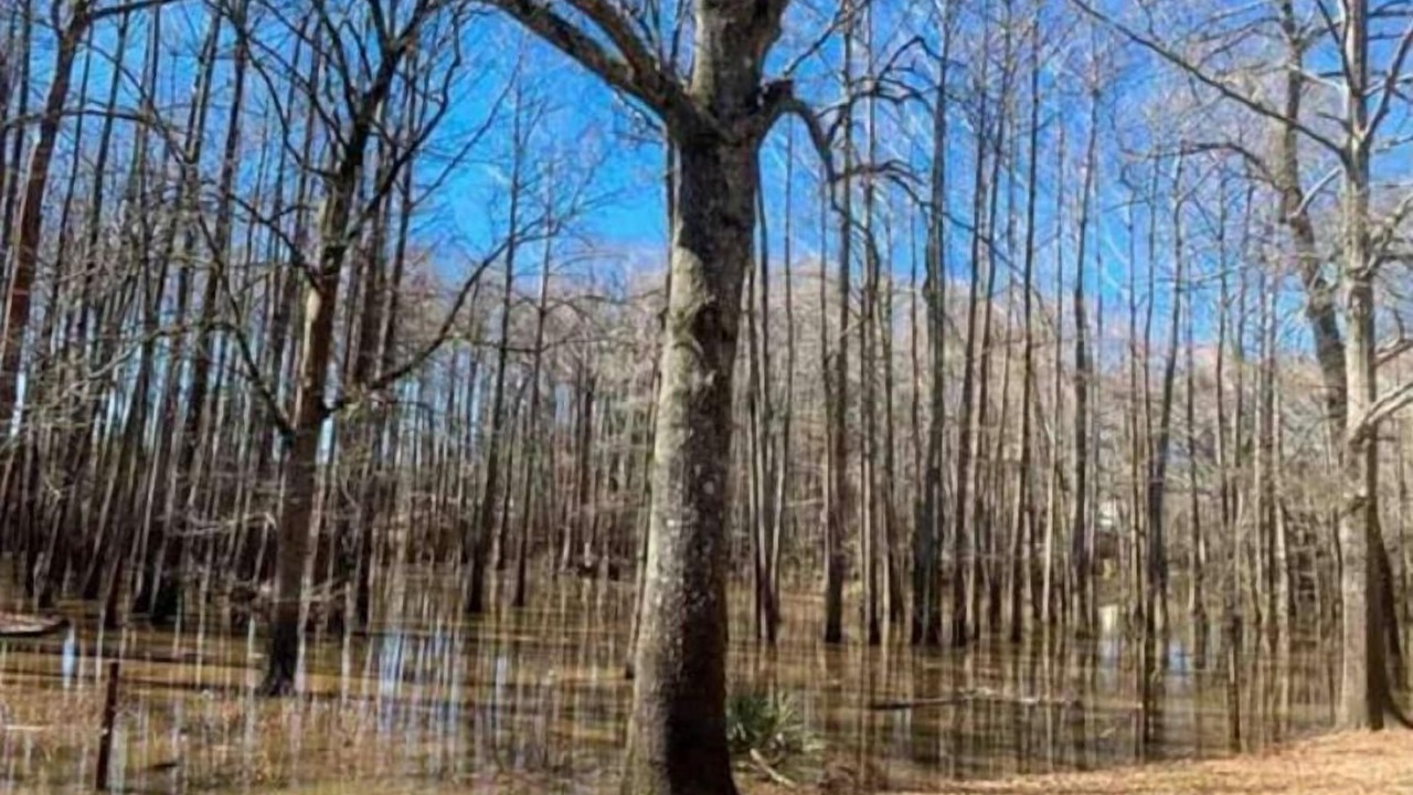 Photo of Outdoor in Karnack