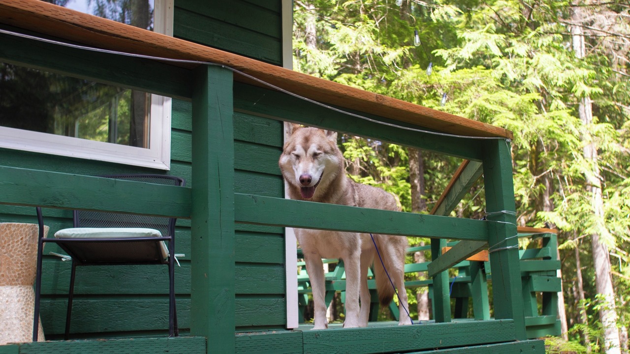 Photo of Others in Marblemount