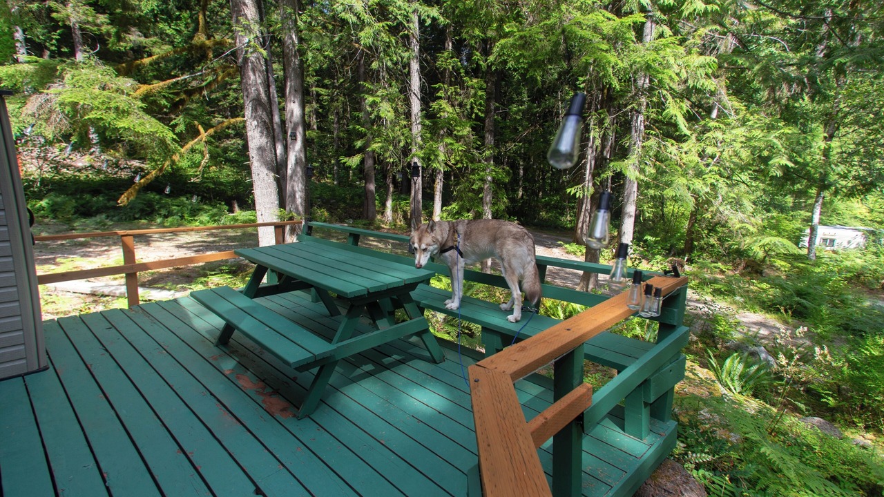 Photo of Others in Marblemount